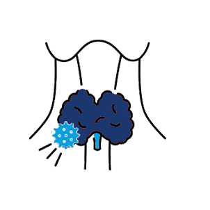 brain-image